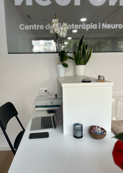 Neuromat